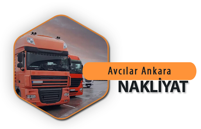 Avcılar Ankara Nakliyat